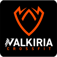 Logo de VALKIRIA